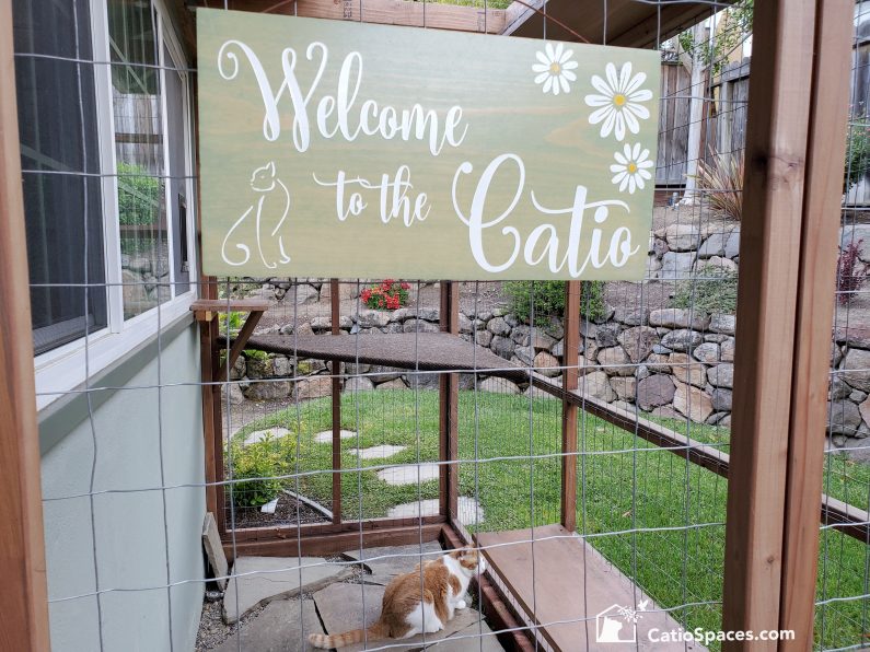 Welcome Catio Sign Haven Diy Plan Outdoor Enclosure Wm Catiospacess
