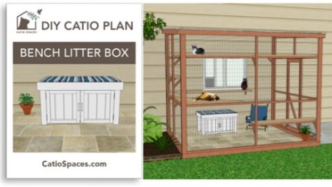 DIY Catio Plan: Outdoor Litter Box DIY Plans