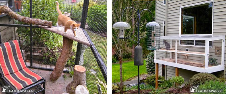 Catio At Enclosure Exercise Birdwatching 2 Up Window Box Wm Catiospaces Com