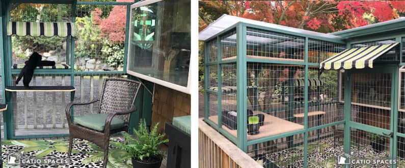 Catio Cat Enclosure 2 Up Human Feline Bonding Wm Catiospaces Com Copy