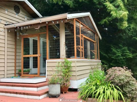 Where Can You Build a Catio? - Catio Spaces