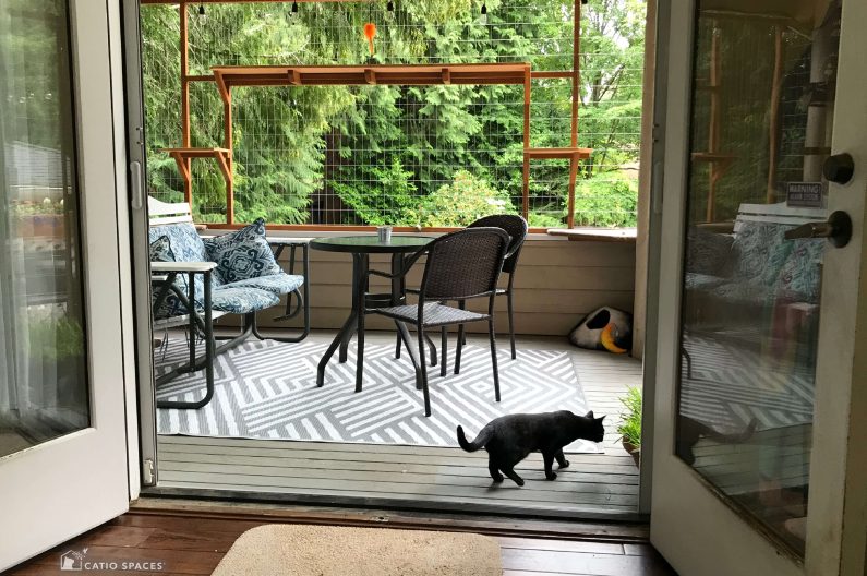 Catio on clearance deck