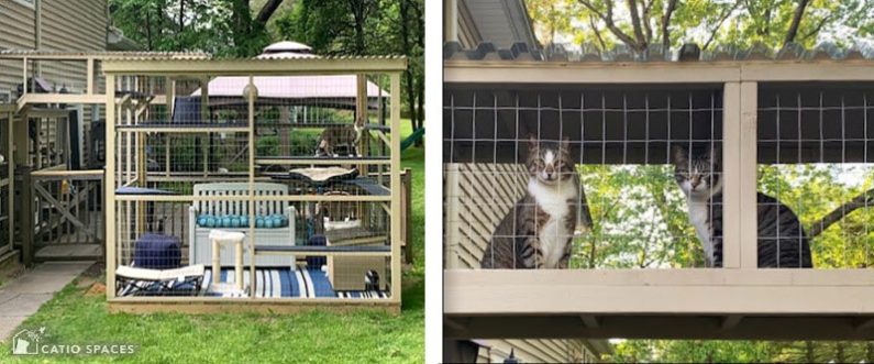 Catio Spaces