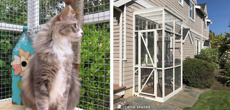 Catio Haven White Cat 2up Cat Enclosure Wm Catiospaces Com