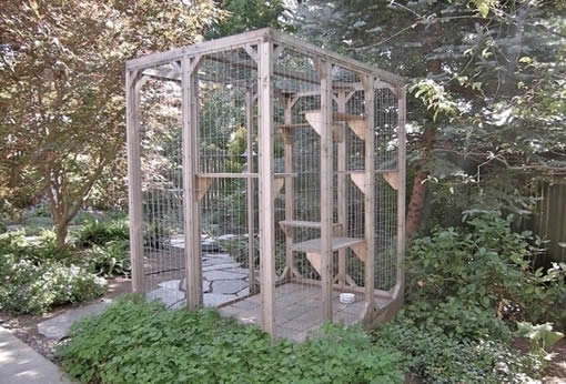 All About Catios & Cat Enclosures - Catio Spaces