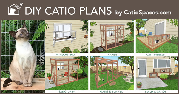 Diy Catio Plans 6 Up With Cat Banner Catiospaces