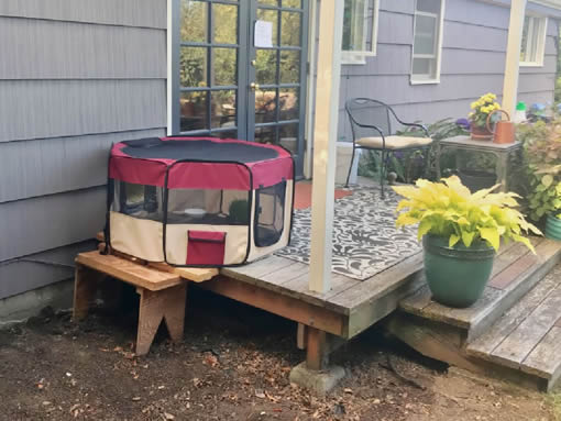 Tent Enclosure On Deck Blog Cat Enclosure
