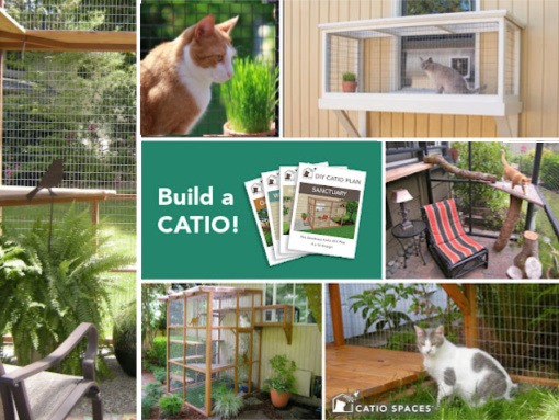 Homemade best sale cat enclosures