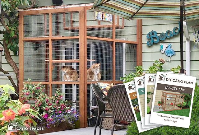 Is It Cheaper To Buy or Build a Catio Catio Spaces