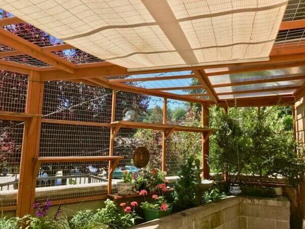 Rsz Cooling Off Cats Catio Photo Shade 610x458 1 (1)