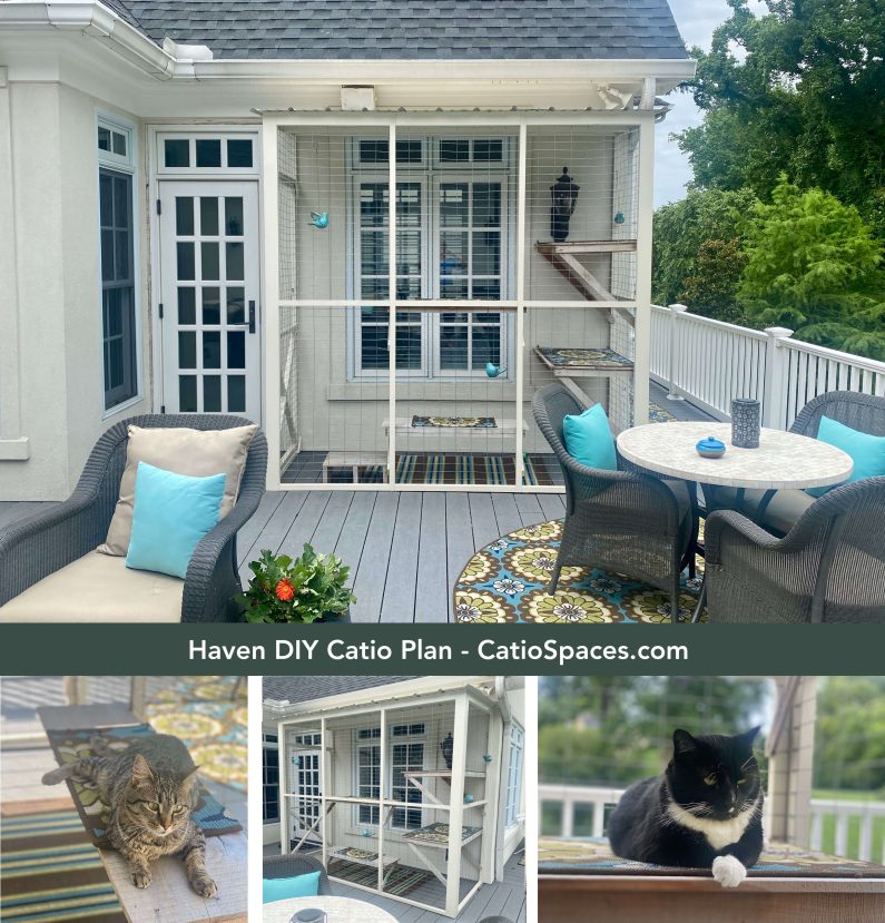 Diy Catio Plan Haven Cfc Cutter Collage Side Catio 2 Cats Hf Wm Title Catiospaces Com