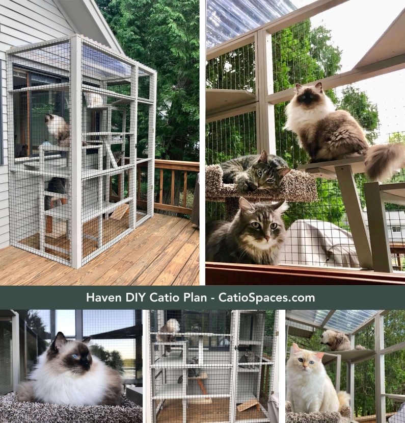 12 DIY Catio Plan Creations for Happy Cats Catio Spaces