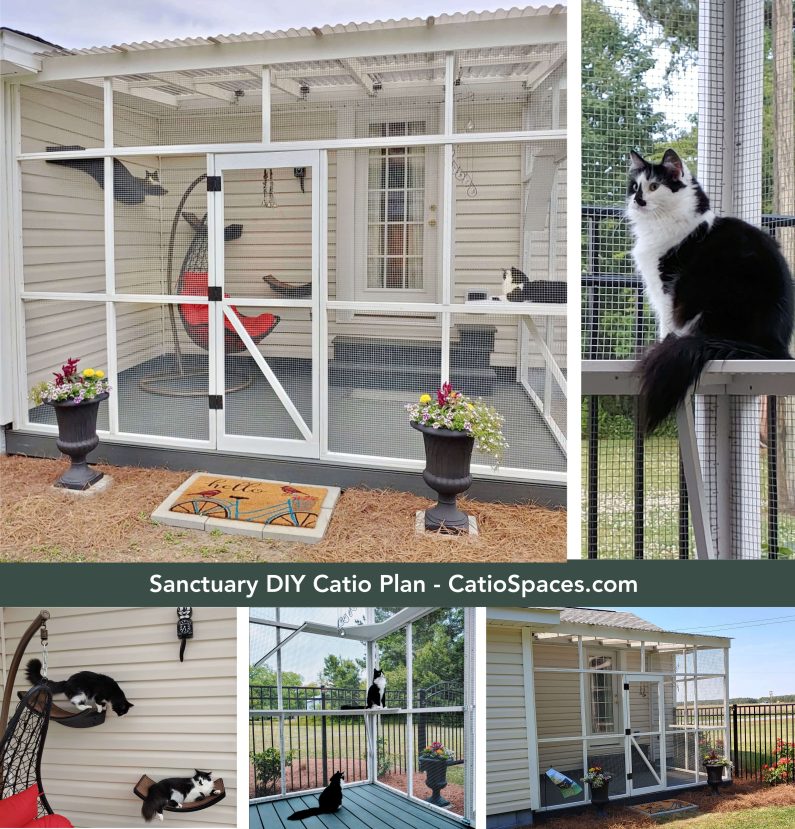 Diy Catio Plan Haven Cfc Humphrey Collage Side Wm Title Catiospaces Com