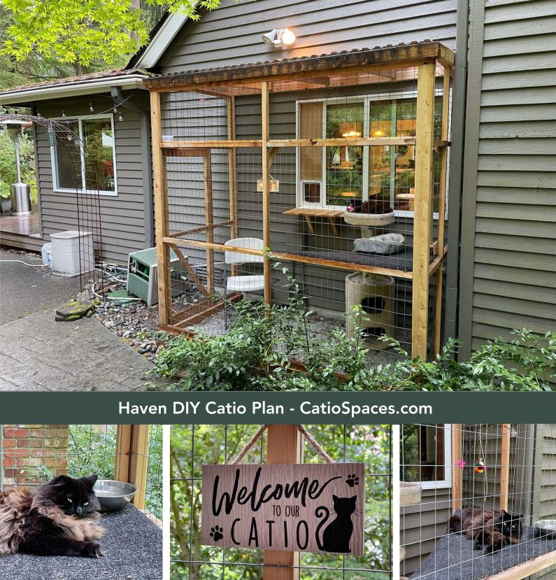 Diy Catio Plan Haven Cfc Hunt Collage Wm Title Catiospaces Com