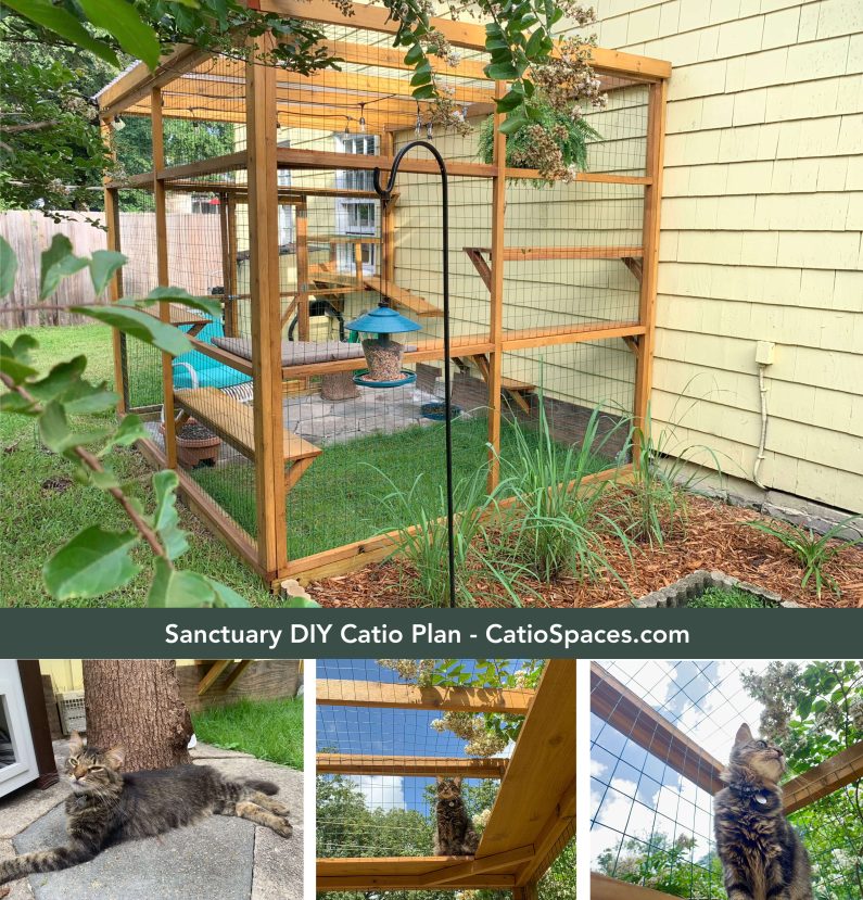 Diy catio plans outlet free