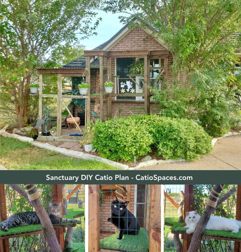 12 DIY Catio Plan Creations for Happy Cats Catio Spaces