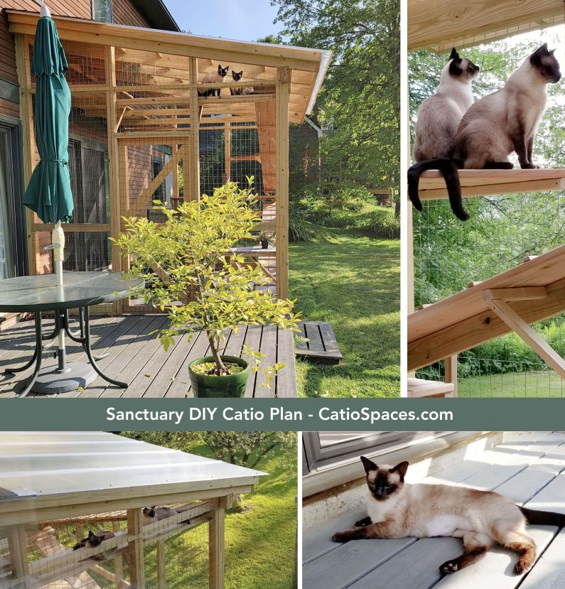 Diy Catio Plan Sanctuary Cfc Pettersen Collage Wm Title Catiospaces Com