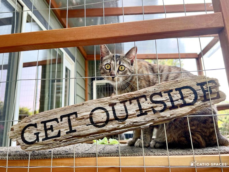 Catio Sign Get Outside Cat Slanis 4073 F Edit Wm Catiospaces Com. (1)