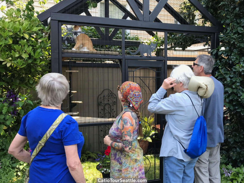 Catio Spaces Seattle Tour 2024