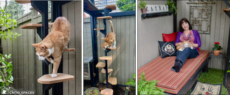 Catio Tour Seattle Chomos Cat Staircase Diy Cynthia 3up Cynthia Wm Catiospaces