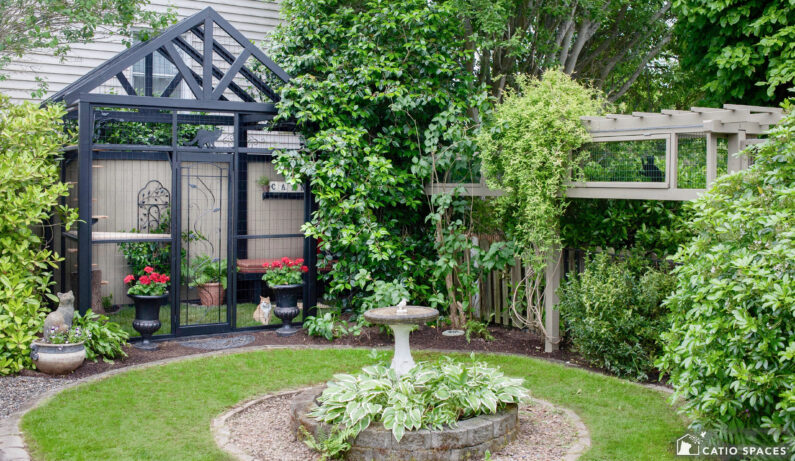 Catio Tour Seattle Chomos Exterior Catnap Tunnel Birdbath Wide Wm Catiospaces