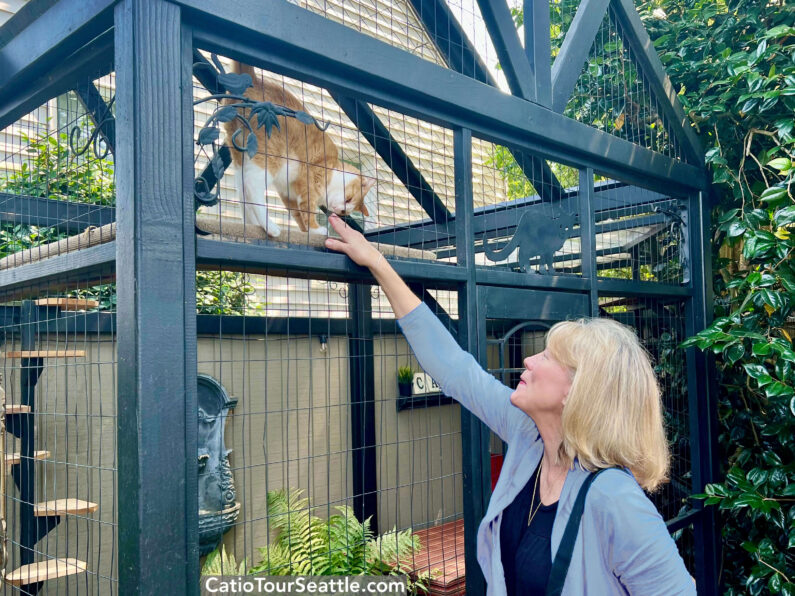 Catio Tour Seattle Title Open House Ltblue Sweater Serena Guest Wmark 1910 Lm Catiospaces 1.4