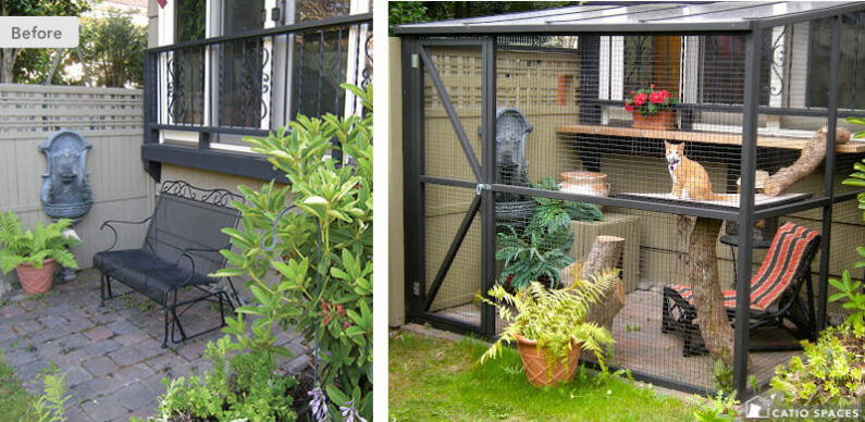 Catio Cat Enclosure Before After Serena Sanctuary Wm Catiospaces