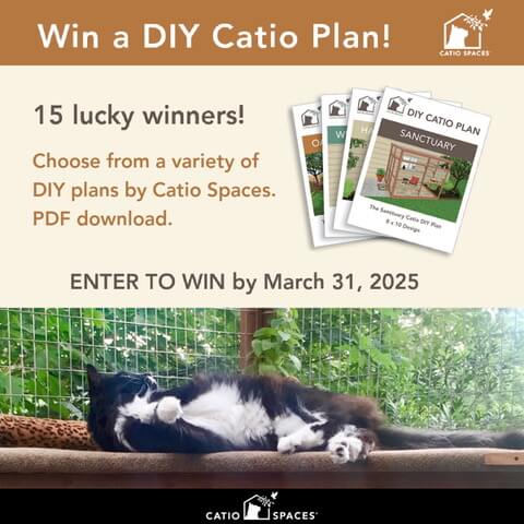 Fb Giveaway Cat 2025 Spring Fever National Catio Day Diy Build Catio Catiospaces (2) (1)