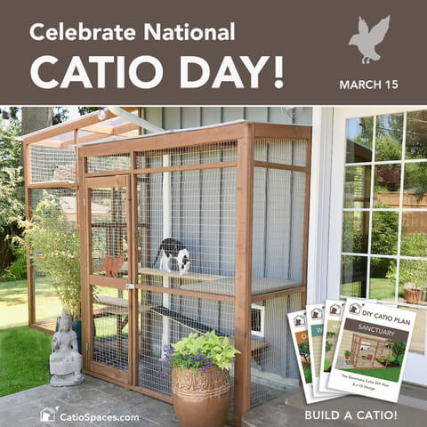 National Catio Day Build A Catio March 15 F Catiospaces Com (3) (1)