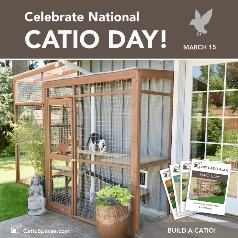 National Catio Day Celebrate March 15 2025 F Blog Spring Fever Catiospaces (2)