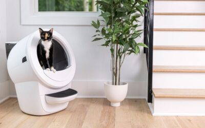 CAT PRODUCT REVIEW: Litter-Robot Self-Cleaning Litter Box for Multiple Cats