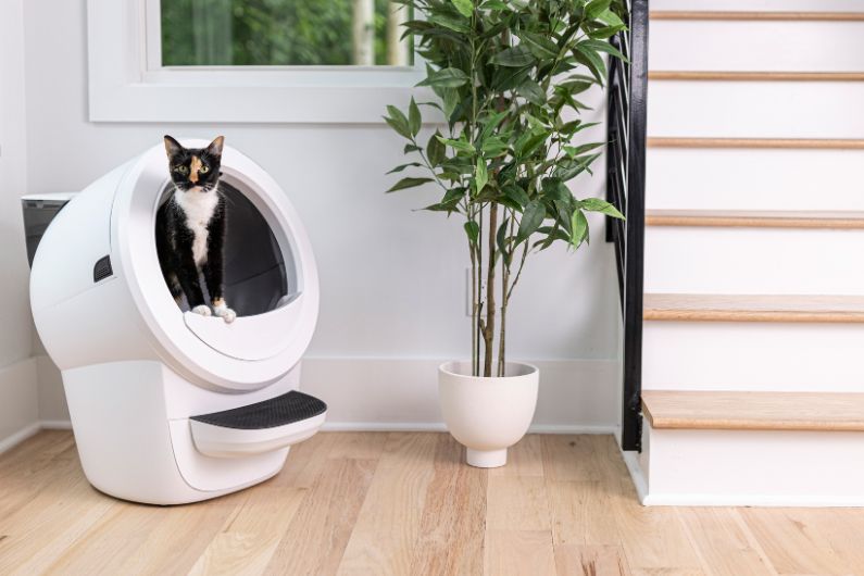 Catio Enclosures Litter Robot Catio Spaces (1)