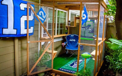 Football Catio for Game Day Cats