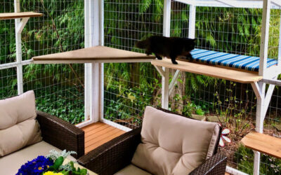 Deck Catio for Sammy and Sophie