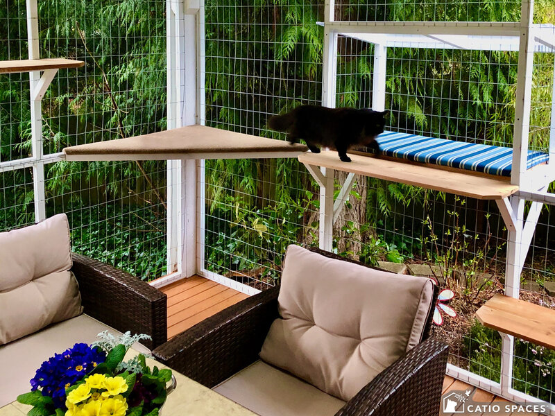 Rsz Catio Enclosures Catio Spaces Catio Videos